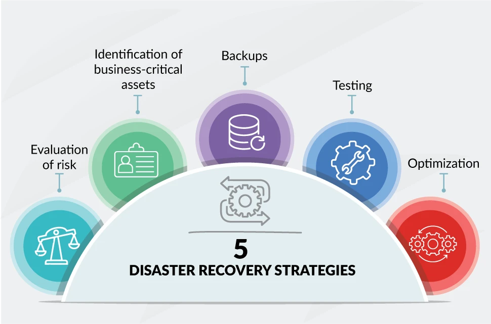 Backup lifecycle
